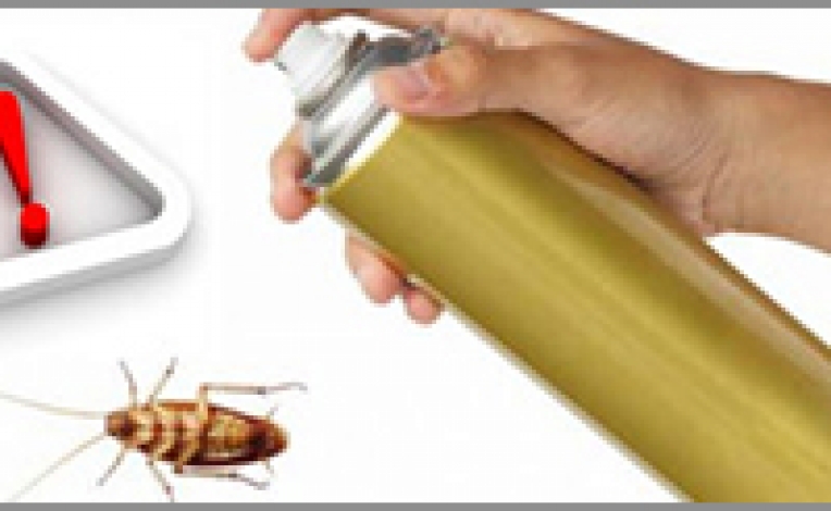 خطرات حشره کش ها