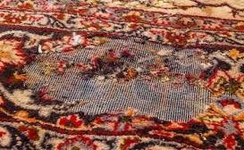 بید زدگی فرش یا حشره فرش