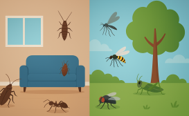 تفاوت بین حشرات خانگی و حشرات بیرونی؛ شناخت بهتر برای کنترل مؤثرتر
